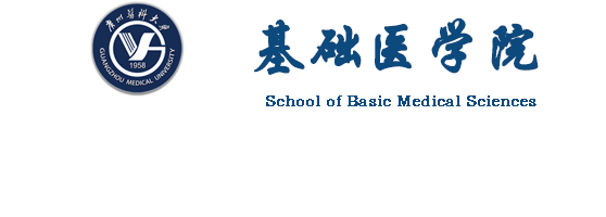 麻豆视频
（2022）